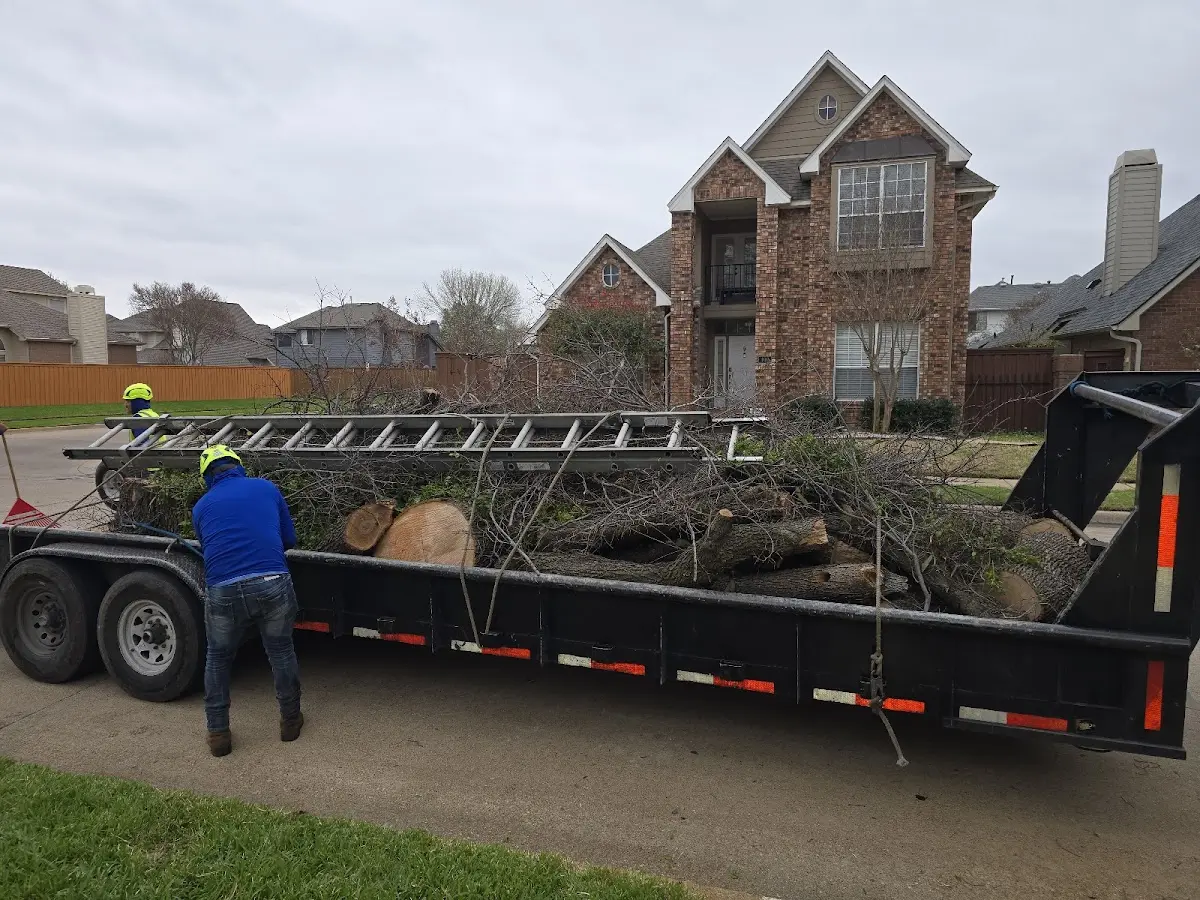 Expert Crown Reduction with proper safety equipment in Lindsay